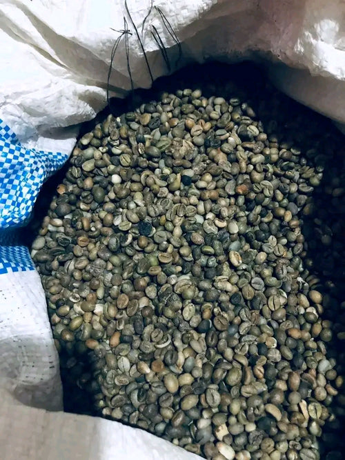 Gingembre brut récolté à Madagascar